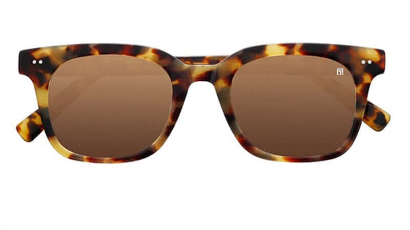 The Riskrunners Glossy Tortoise Shell / Amber Sunglasses