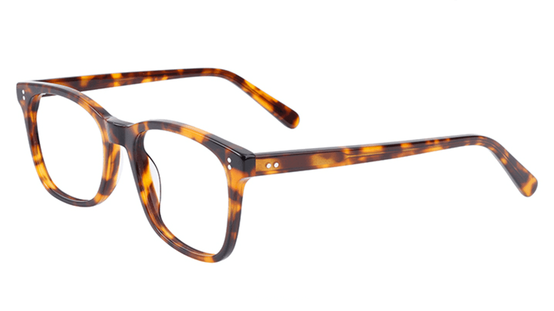 Hamptons BlueLight+ Glossy Tortoise Shell / BlueLight+ Sunglasses
