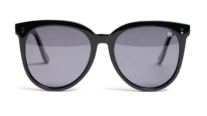 The Danvers Glossy Black / Smoke Sunglasses