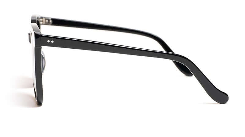 The Danvers Glossy Black / Smoke Sunglasses