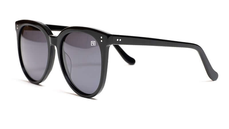 The Danvers Glossy Black / Smoke Sunglasses