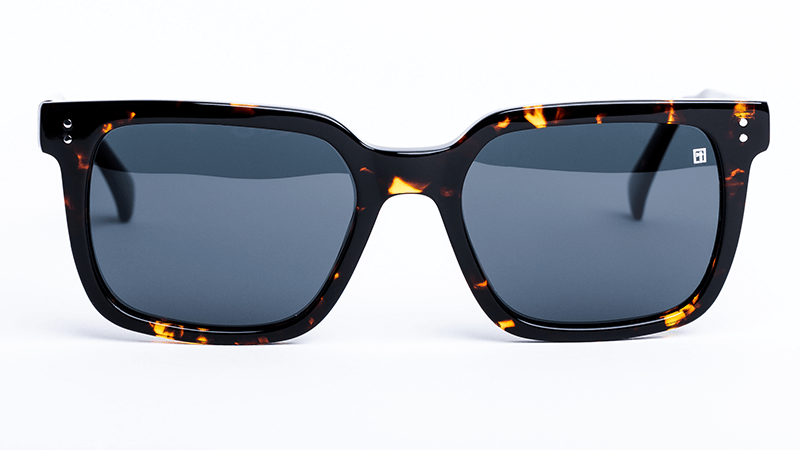 The Rigby Glossy Tortoise Shell / Smoke Sunglasses