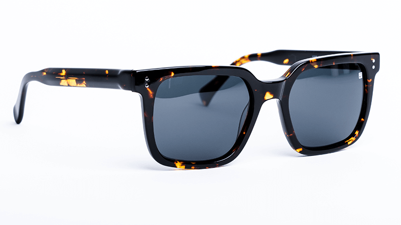 The Rigby Glossy Tortoise Shell / Smoke Sunglasses