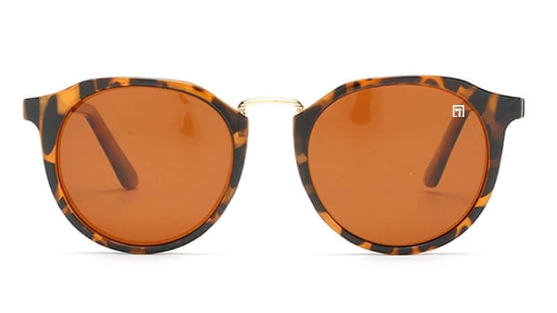 The Andovers Glossy Tortoise Shell / Amber Sunglasses
