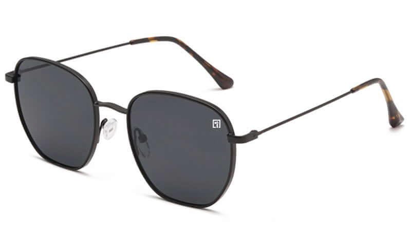 Beholders Black / Smoke Sunglasses