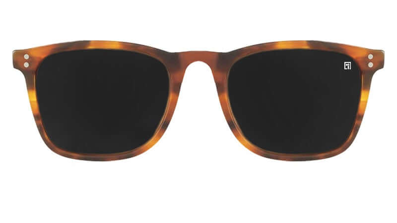 The Parkers Glossy Bourbon Tortoise Shell / Smoke Sunglasses