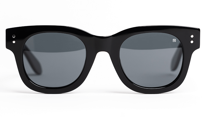 The Eastwood Glossy Black / Smoke Sunglasses